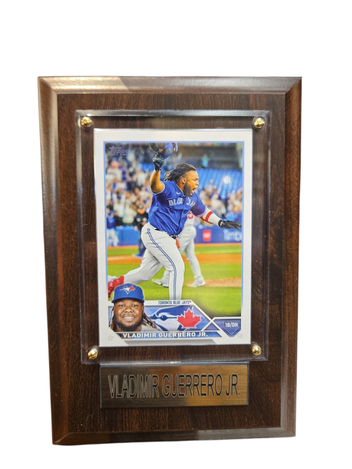MLB Collectible Plaque with Card 4x6 Excited Vladimir Guerrero Jr. Blue Jays