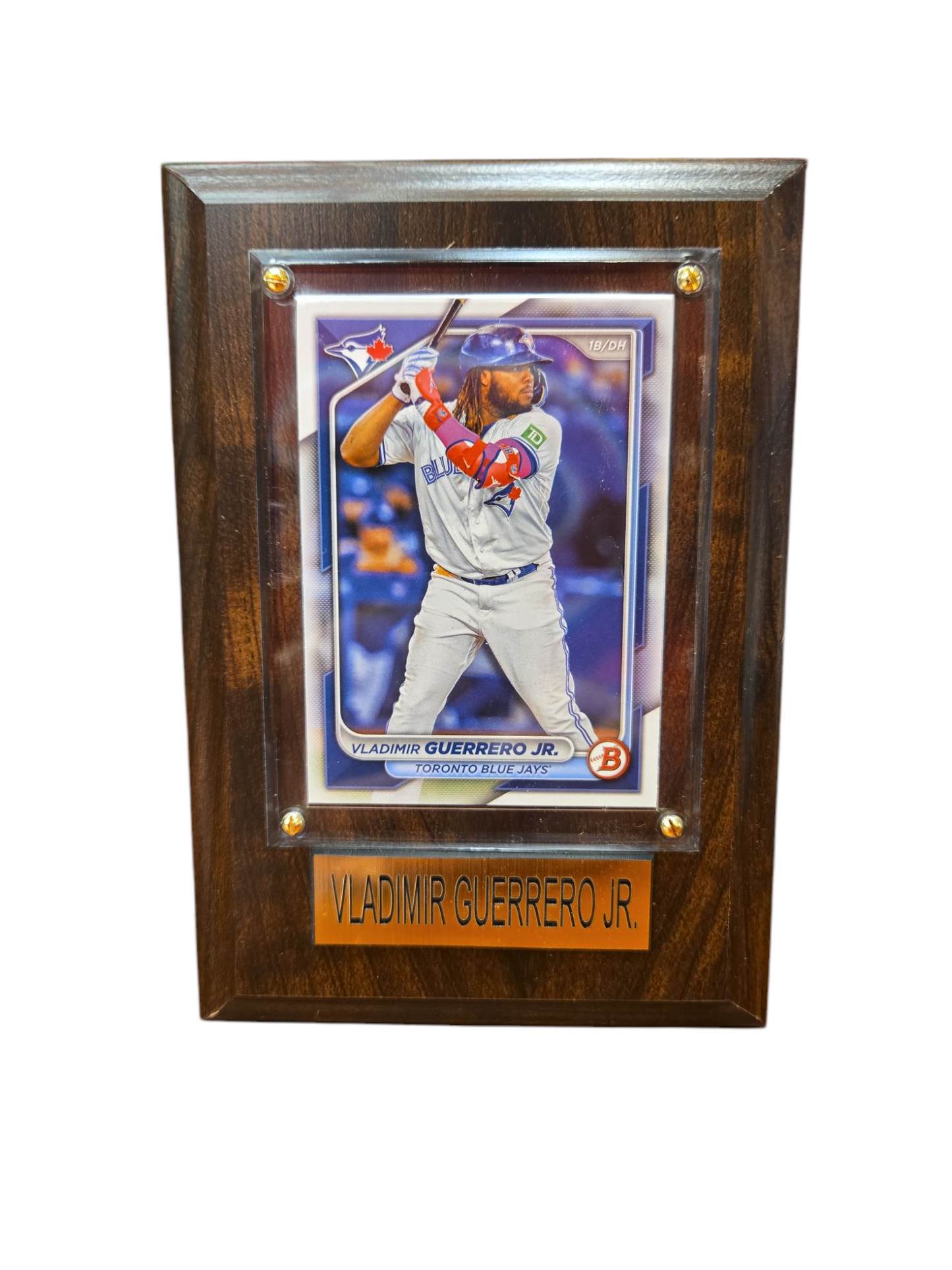 MLB Collectible Plaque with Card 4x6 At Bat Vladimir Guerrero Jr. Blue Jays