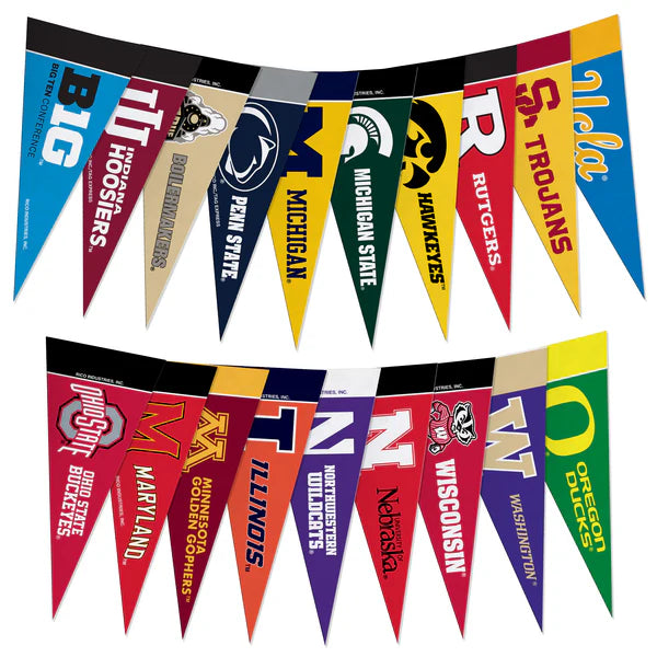 NCAA 19Pc Mini Pennant Set Big Ten Conference