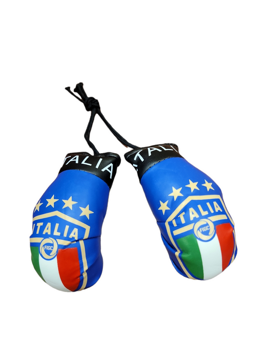 Country Boxing Gloves Set Italy (Blue w/Club)
