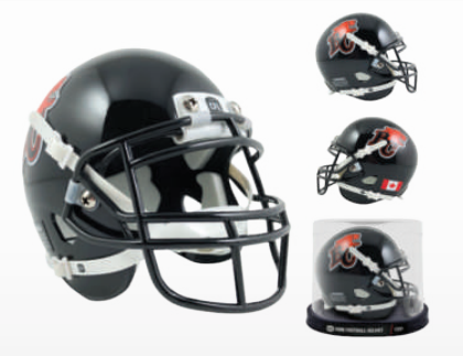 CFL Mini Helmet Lions