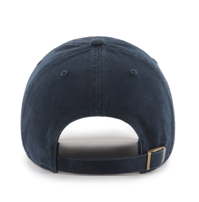 NCAA Hat Clean Up Basic Michigan Wolverines