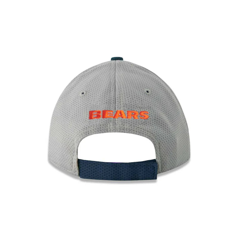 NFL Hat 940 Perf Gray Team Bears