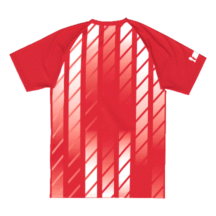 FIFA World Cup 2026 Youth Sublimated Jersey Canada National Soccer Team
