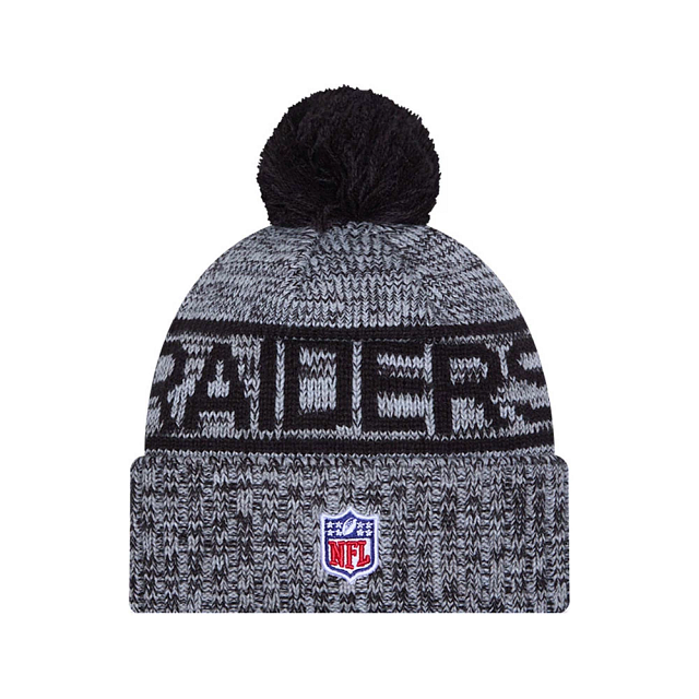 NFL Knit Hat Sideline 2025 Color Wave Raiders