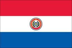 Country Flag 3x5 Paraguay