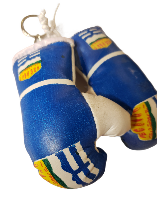 Provincial Boxing Gloves Set Alberta