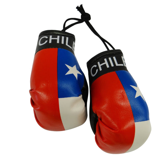 Country Boxing Gloves Set Chile