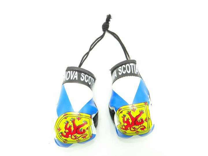 Country Boxing Gloves Set Nova Scotia