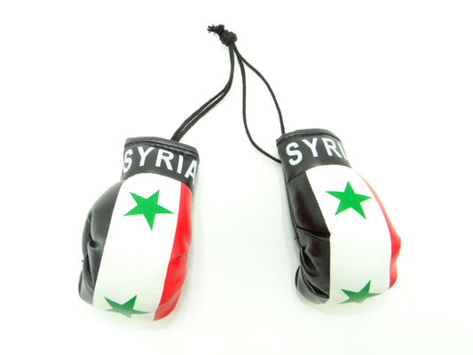 Country Boxing Gloves Set Syria