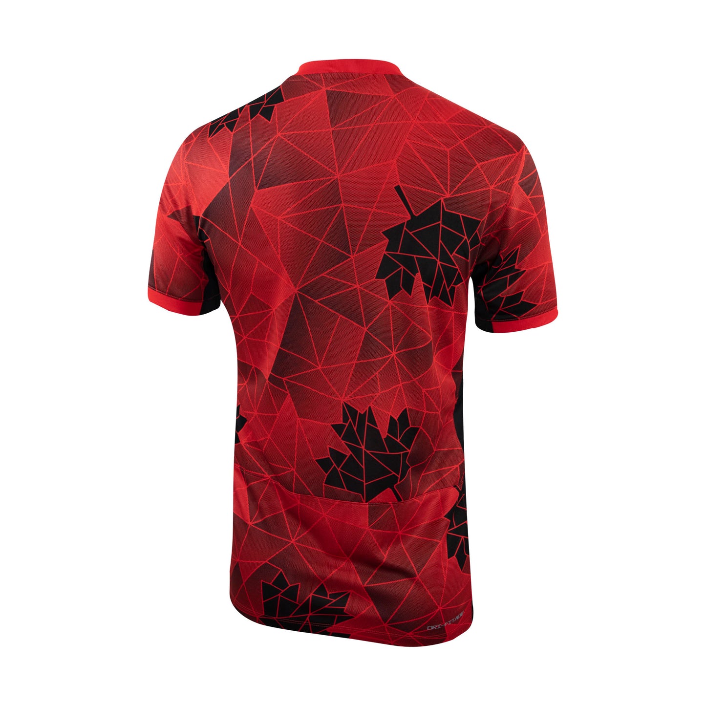 Canadian Women's National Team Jersey Replica Home 2023-24 Team Canada