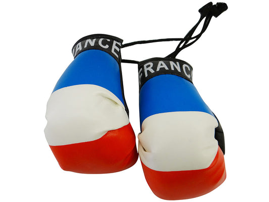 Country Boxing Gloves Set France