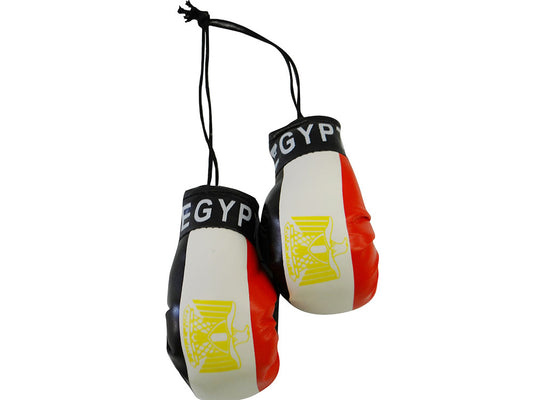 Country Boxing Gloves Set Egypt
