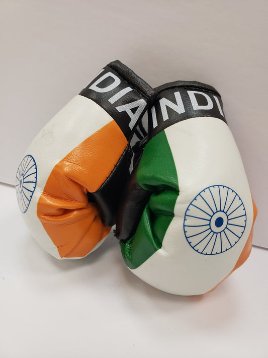 Country Boxing Gloves Set India