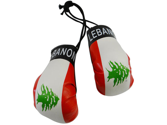 Country Boxing Gloves Set Lebanon