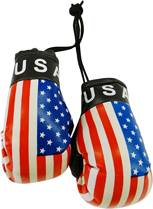 Country Boxing Gloves Set USA