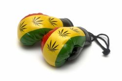 Weed Leaf Boxing Gloves Set