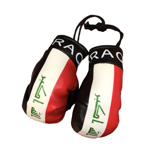 Country Boxing Gloves Set Iraq (2008-Present)