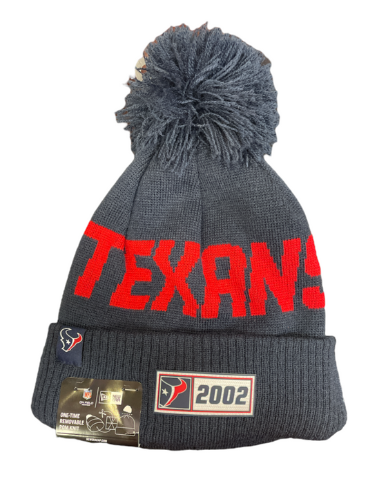 NFL Knit Hat 2019 Sport Road Texans