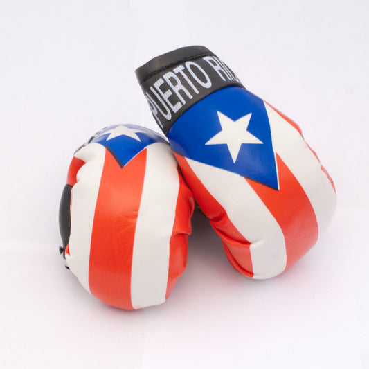 Territorial Boxing Gloves Set Puerto Rico