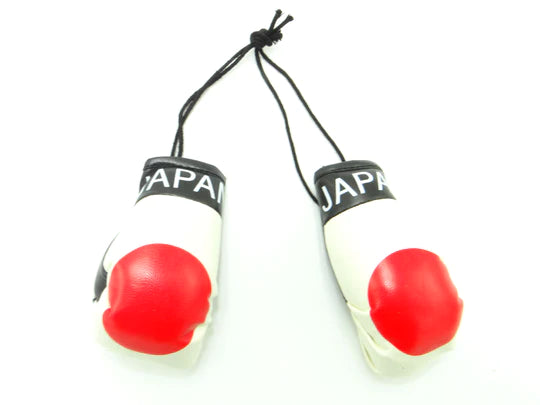Country Boxing Gloves Set Japan