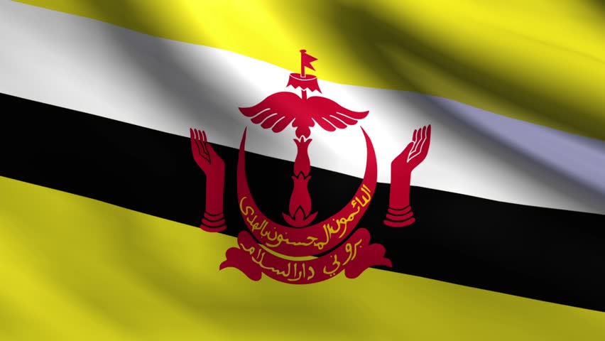 Country Flag 3x5 Brunei
