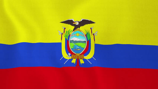 Country Flag 3x5 Ecuador