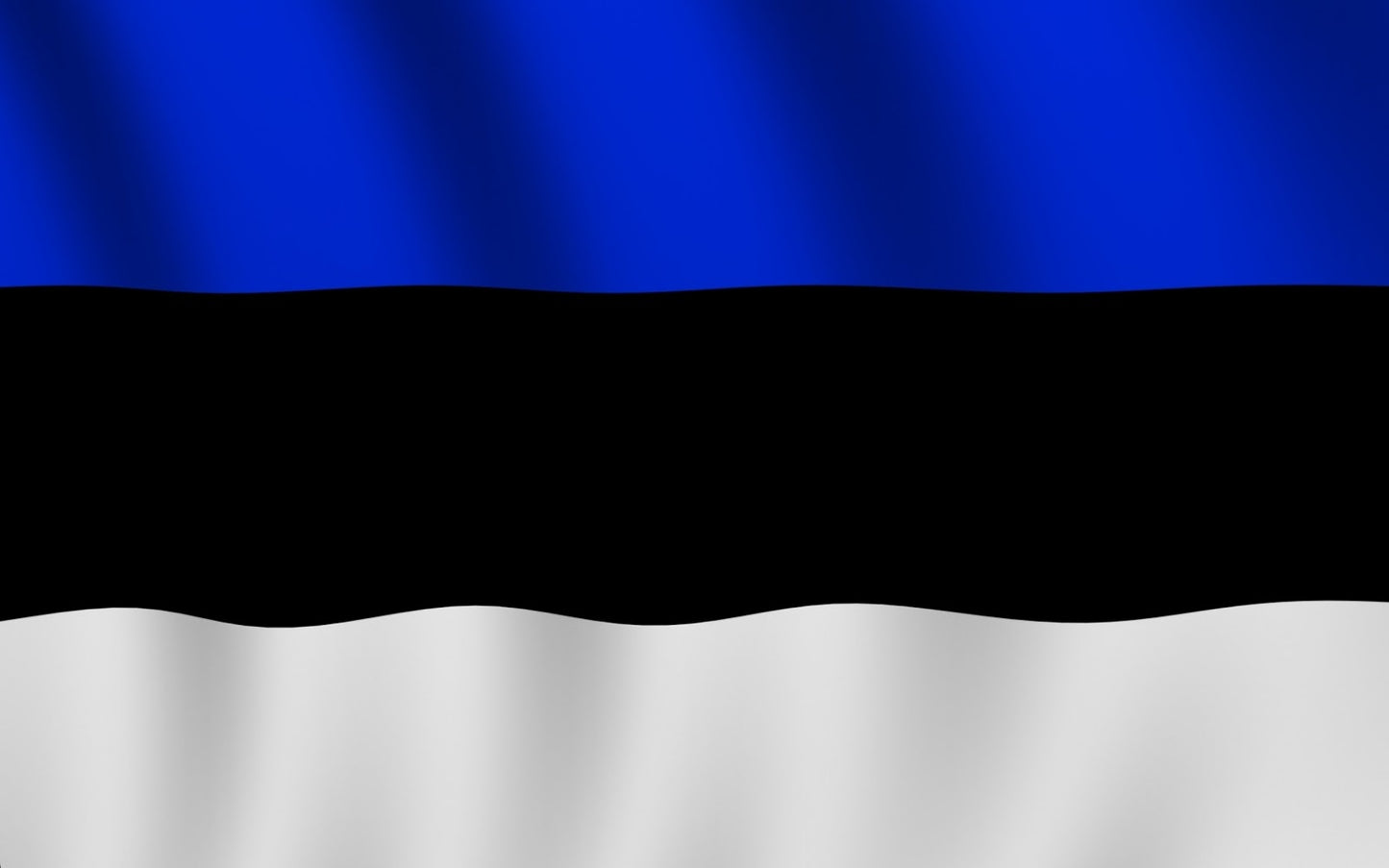 Country Flag 3X5 Estonia