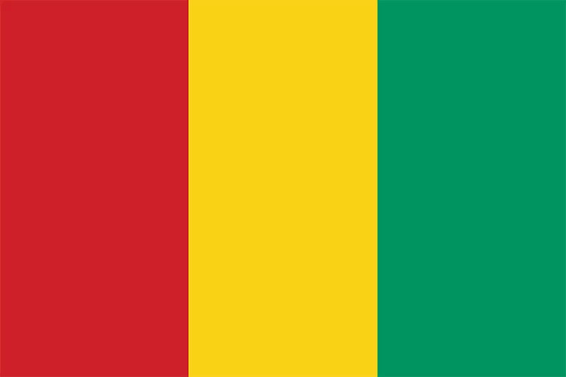 Country Flag 3x5 Guinea
