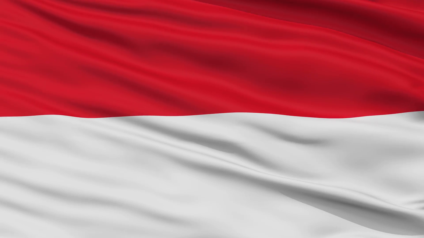 Country Flag 3x5 Indonesia