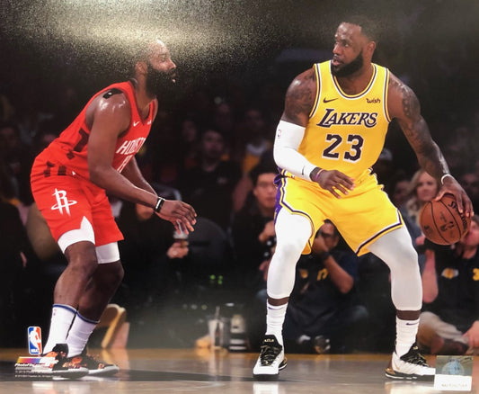 NBA 8x10 Player Photograph Lebron James Lakers/James Harden Rockets