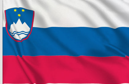 Country Flag 3x5 Slovenia