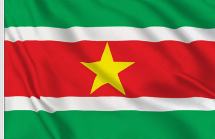 Country Flag 3x5 Suriname