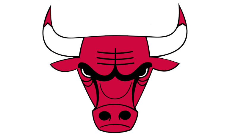 NBA Chicago Bulls