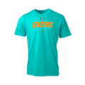 PWHL T-Shirt Team Color Graphic New York Sirens
