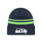 NFL Knit Hat Basic Cuff Seahawks