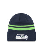 NFL Knit Hat Basic Cuff Seahawks