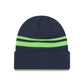 NFL Knit Hat Basic Cuff Seahawks