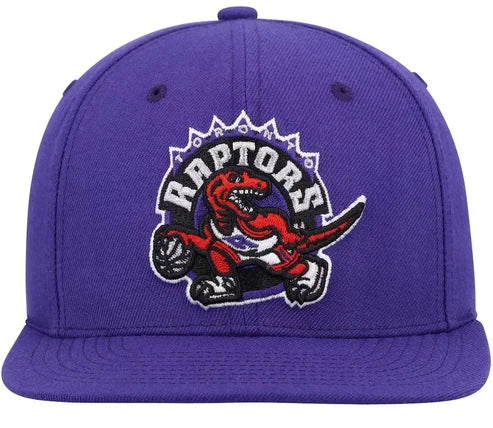 NBA Youth Hat Snapback Dino Team Ground 2.0 Raptors