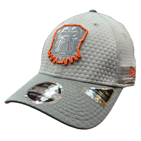 NFL Hat 940 Stretch Snap Training Camp Grey 2024 Browns