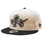 NBA Hat 950 Snapback Chrome White 1995-2007 Raptors