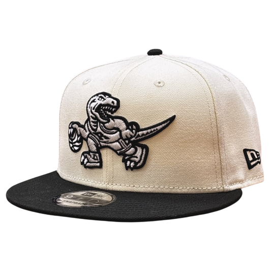 NBA Hat 950 Snapback Chrome White 1995-2007 Raptors