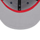 NFL Hat 950 Snapback Patch E3 Patriots