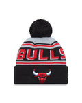 NBA Knit Hat Pom Wordmark Bulls