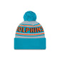 NFL Knit Hat Pom Wordmark Dolphins