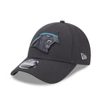 NFL Hat 940 Draft 2024 Grey Panthers