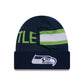 NFL Knit Hat 2024 Sideline Tech Seahawks