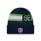 NFL Knit Hat 2024 Sideline Tech Seahawks