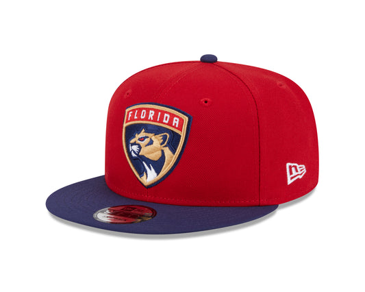 NHL Hat 950 Basic Snapback Two Tone Panthers