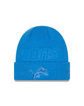 NFL Knit Hat Tonal Beanie Lions